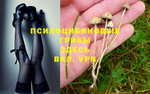 mix Горняк