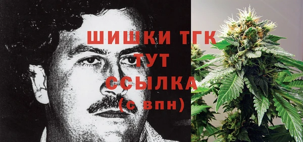 МДПВ Горнозаводск