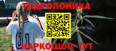 PSILOCYBIN Волгодонск