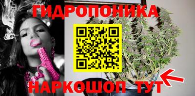 дмт Заводоуковск