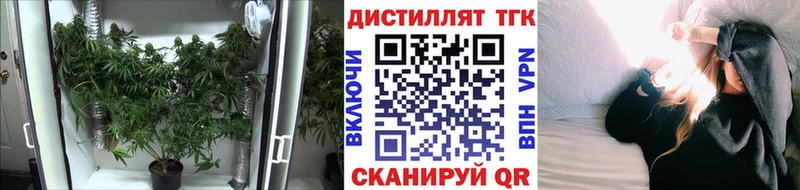 ТГК концентрат  мега рабочий сайт  Гатчина 