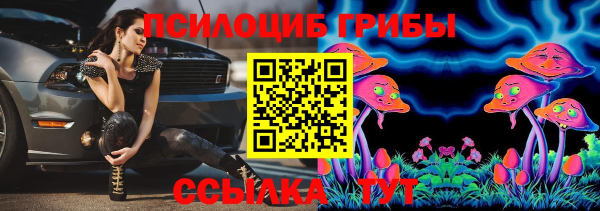 Галлюциногенные грибы Cubensis  Гатчина  Псилоцибиновые грибы мицелий 