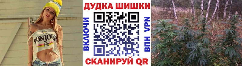 Бошки марихуана THC 21% Гатчина