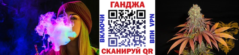 где можно купить   Гатчина  Бошки марихуана VHQ 